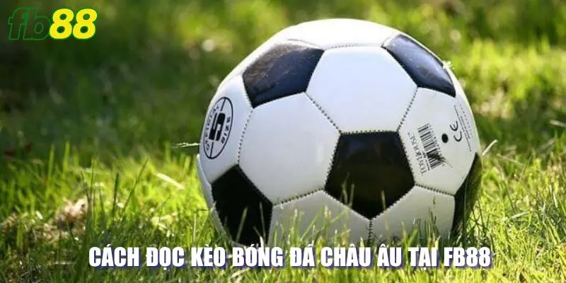 Cách đọc kèo bóng đá Châu Âu 