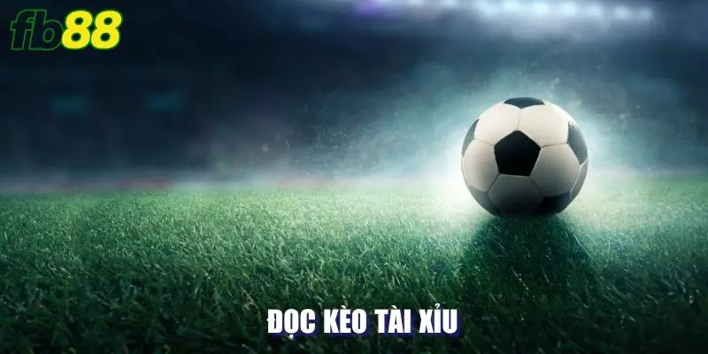 Đọc kèo tài xỉu