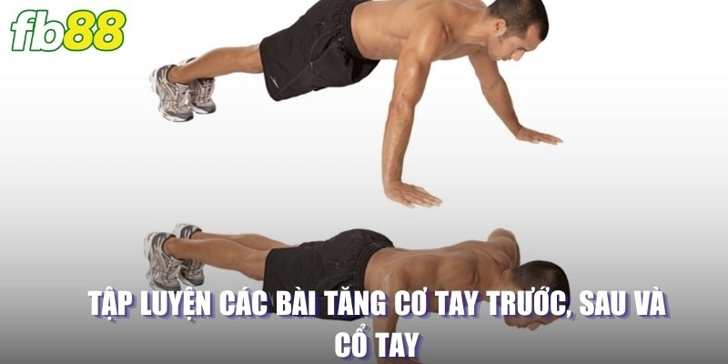 Tập luyện các bài tăng cơ tay trước, sau và cổ tay