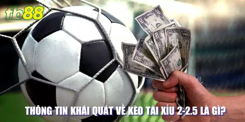 Thông tin khái quát về kèo tài xỉu 2-2.5 là gì?