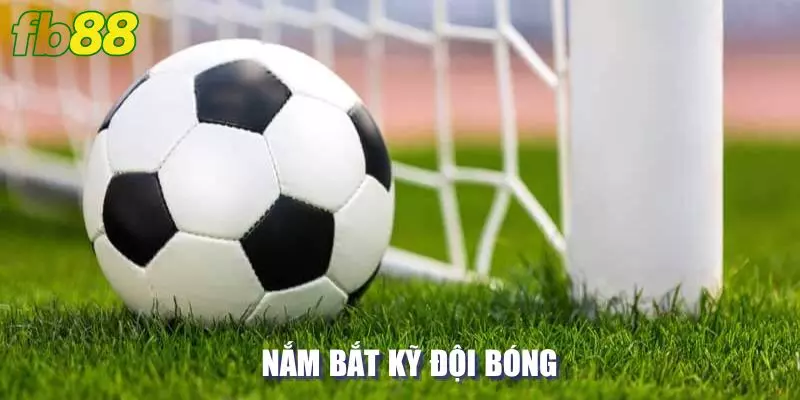 Nắm bắt kỹ đội bóng